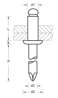 Afbeeldingen van Popnagel cilinderkop aluminium diameter 4 x 8mm