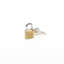 Afbeeldingen van Cilinderhangslot HS 020B KD 20mm dubbel vergrendeld 0182.400.2200