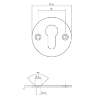 Afbeeldingen van P+E Rozet profielcilindergat rond ø55x2mm met schroefgaten rvs geborsteld