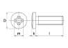 Afbeeldingen van Metaalschroef roestvaststaal cilinderkop phillips M6 x 70mm